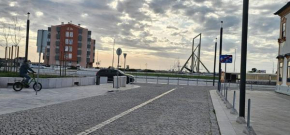 Rosa D'Aveiro